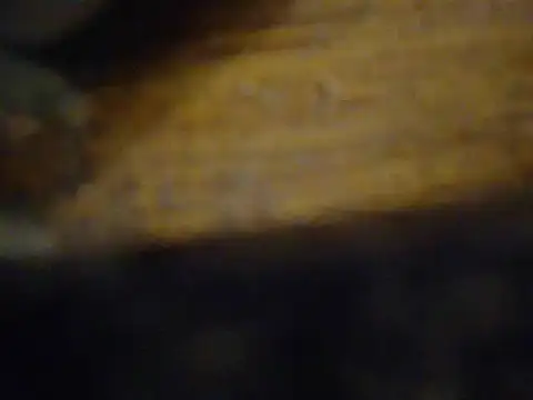 amoralall webcam