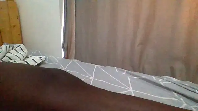 demo2004 webcam
