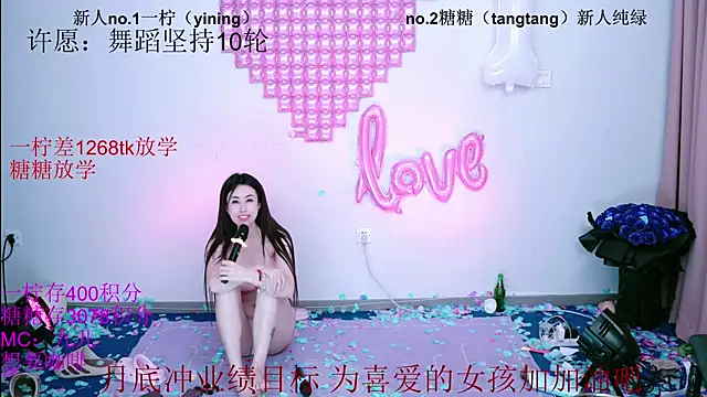 CCTW-100 webcam