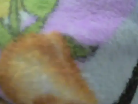 Jhennyf_Lims webcam