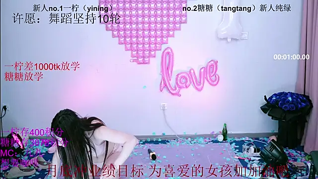 CCTW-100 webcam