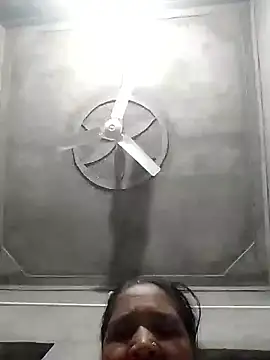 Loomaraj webcam