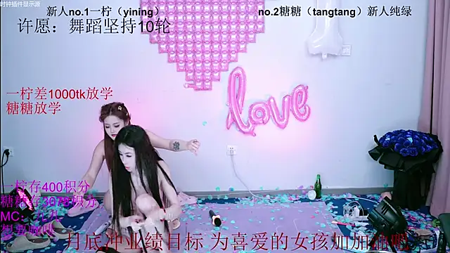 CCTW-100 webcam