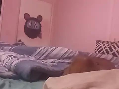 Blkstylion webcam