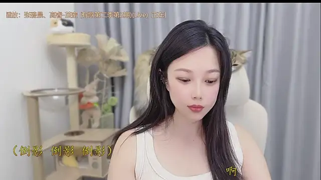 facai-feifei webcam