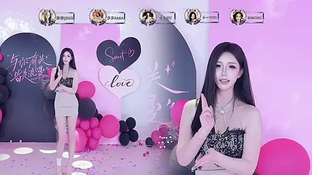 TY-002 webcam