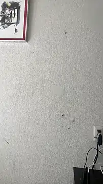 french_solo_X webcam