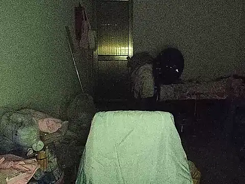 RebelAura webcam