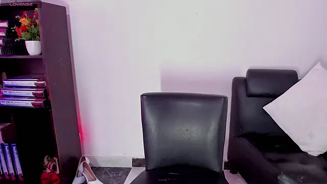 aria-voss webcam