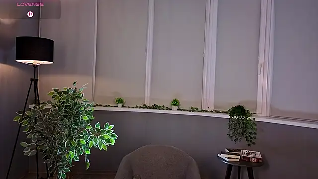 ViGaffey webcam