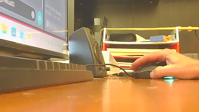 spoiler_3 webcam