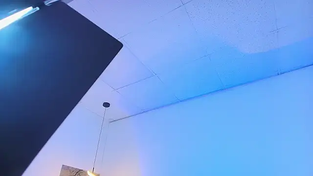 TONY_FOXX1 webcam