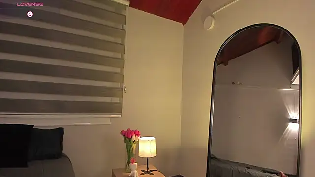 MERIDA_TAYLOR webcam