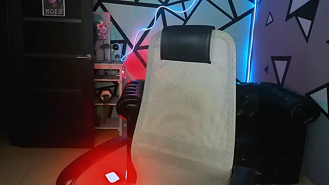 LidaDarknet webcam