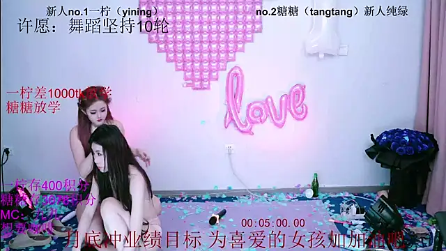 CCTW-100 webcam