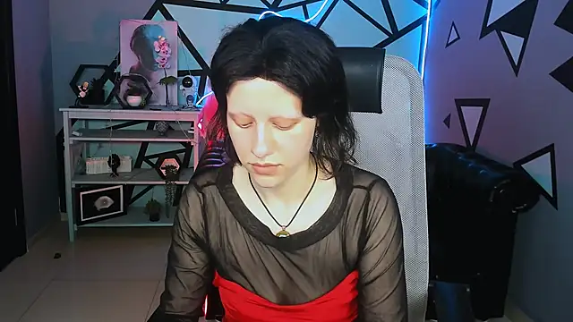 LidaDarknet webcam