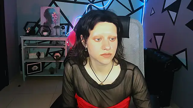 LidaDarknet webcam