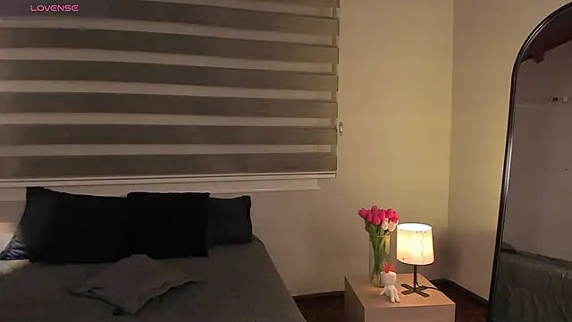 MERIDA_TAYLOR webcam