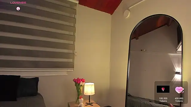MERIDA_TAYLOR webcam