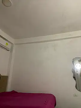 LIA_PARKERR webcam