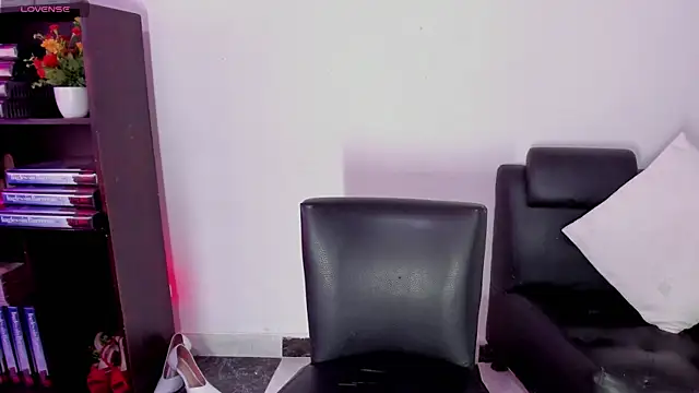 aria-voss webcam
