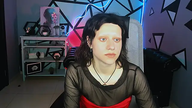 LidaDarknet webcam