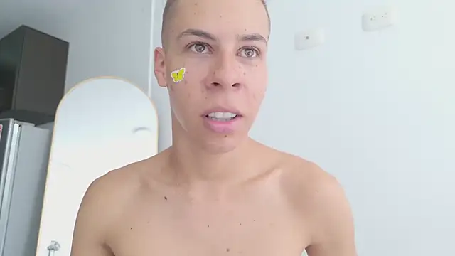 grey___27 webcam