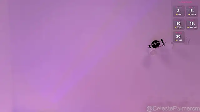 CelestePalmer_ webcam
