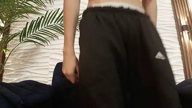 Pavo_tv webcam