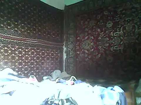 A1B3- webcam