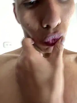 NelModel1 webcam