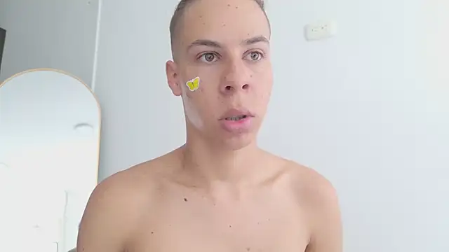 grey___27 webcam