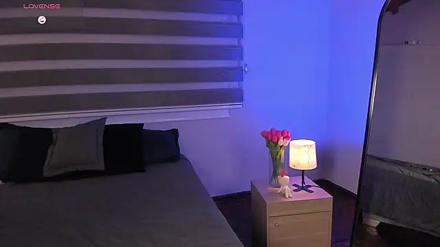 MERIDA_TAYLOR webcam