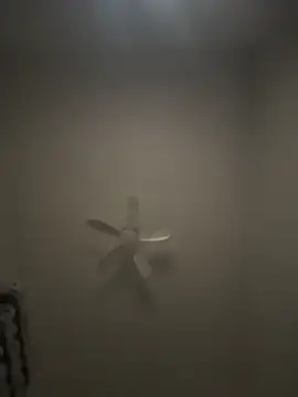 Meraryy webcam
