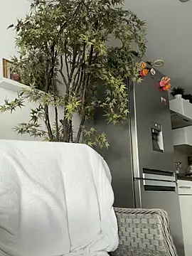 Michel_huge webcam