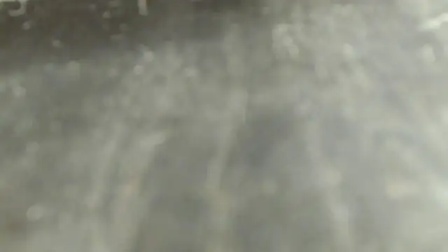 Raycatt1 webcam
