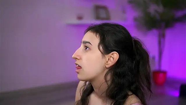JullyFox webcam