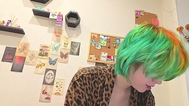 LittleKittenStar webcam
