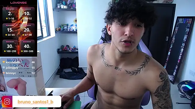 Bruno_santos1 webcam