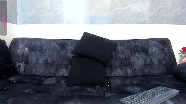 Estrella_rousel webcam