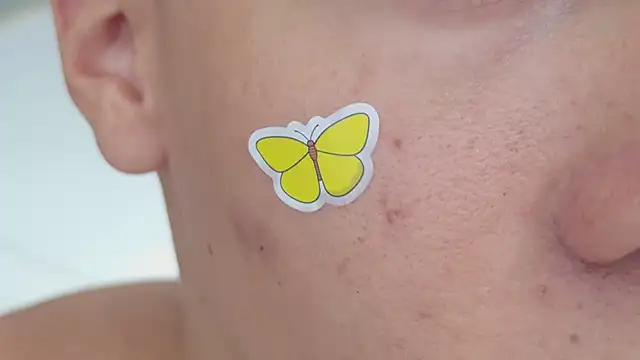 grey___27 webcam