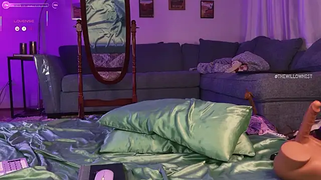 thewillownest_ webcam