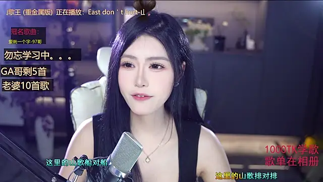Seraphinei webcam
