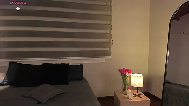 MERIDA_TAYLOR webcam