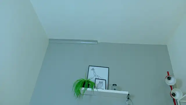 LexaDominant__ webcam