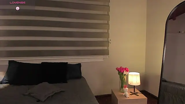 MERIDA_TAYLOR webcam
