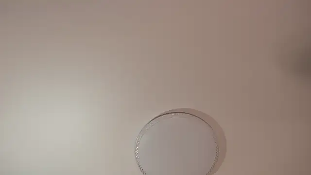 Liyafox webcam