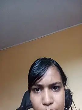dialahassen webcam