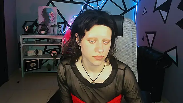 LidaDarknet webcam