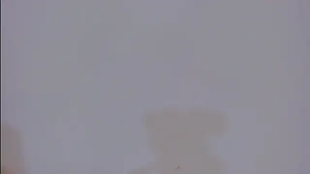 valentinasu webcam